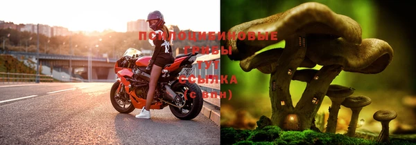 не бодяженный Дмитров