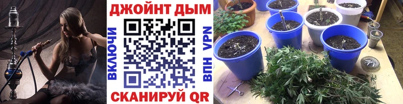 hydra tor  Дубовка  Бошки Шишки ГИДРОПОН 